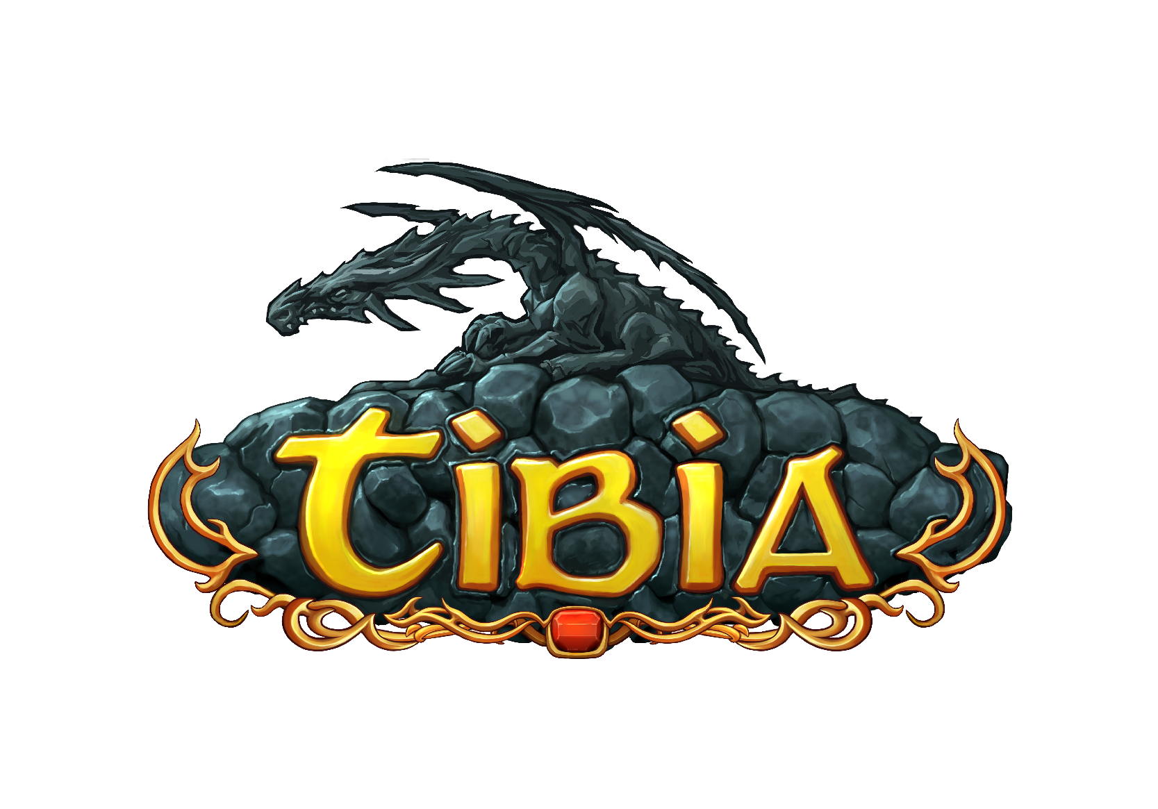 Tibia